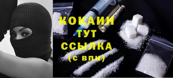 гидра Пестово