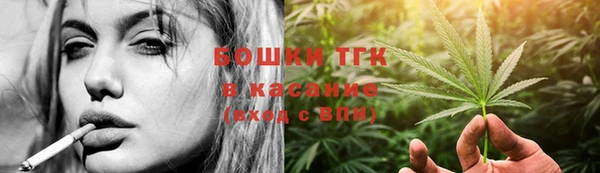 гидра Пестово