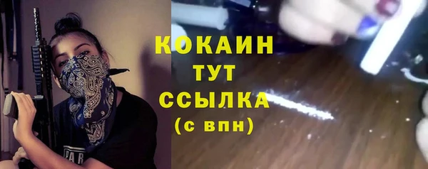 гидра Пестово