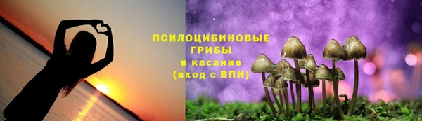 гидра Пестово